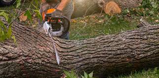 Best Lawn Irrigation Installation and Maintenance  in Kalama, WA