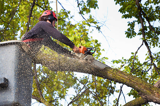 Best Aeration Services  in Kalama, WA